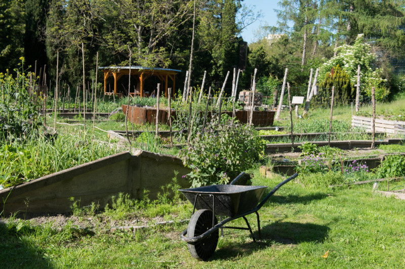 Zakladáme komunitnú záhradu v Galante